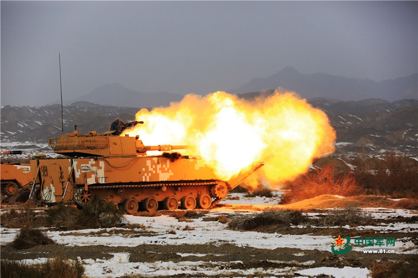 China's Marine Corps conducts collaborative drill in NW China