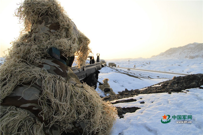 China's Marine Corps conducts collaborative drill in NW China