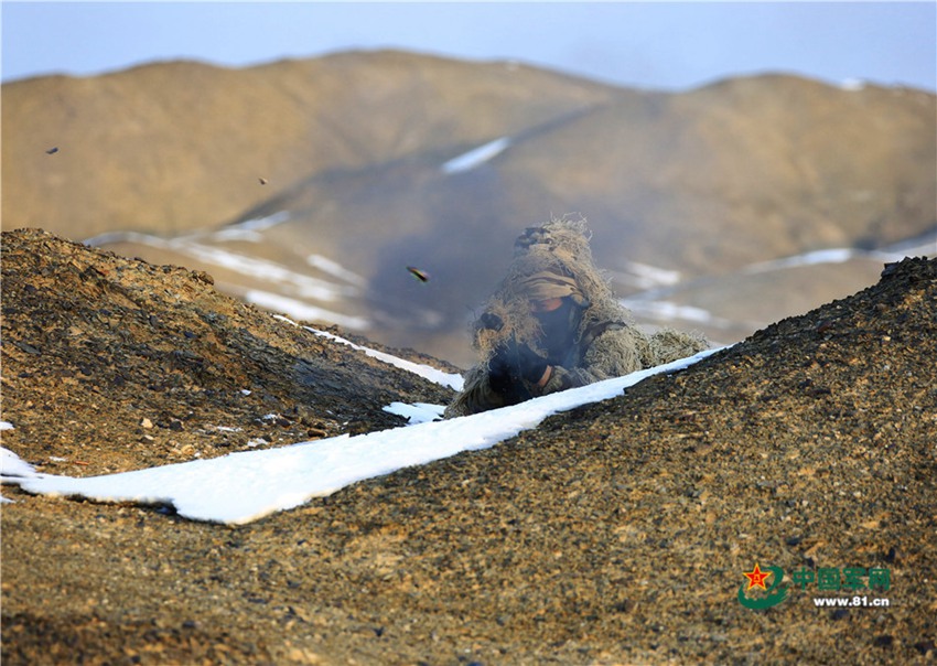 China's Marine Corps conducts collaborative drill in NW China