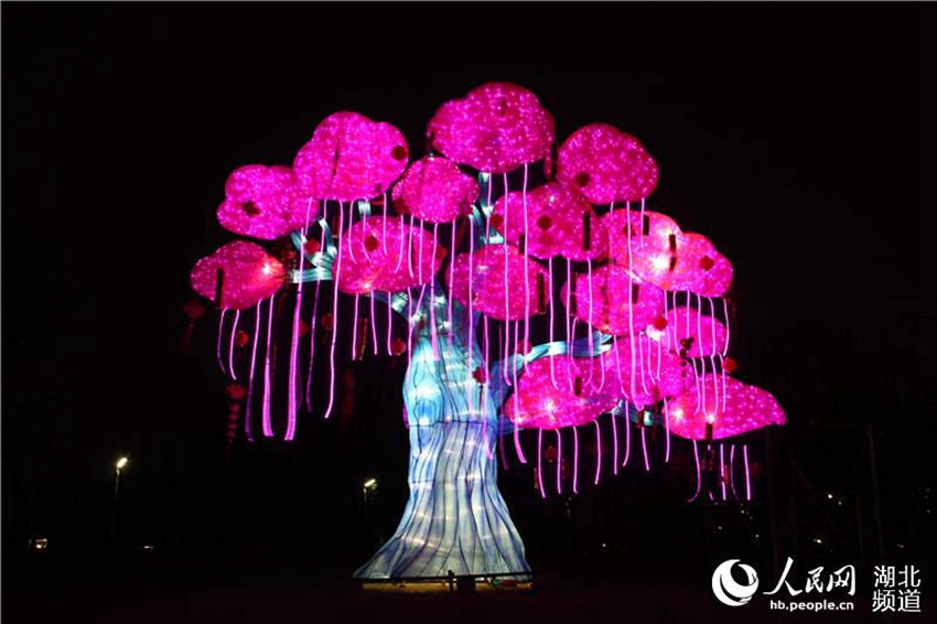 Wuhan lantern feast illuminates Garden Expo