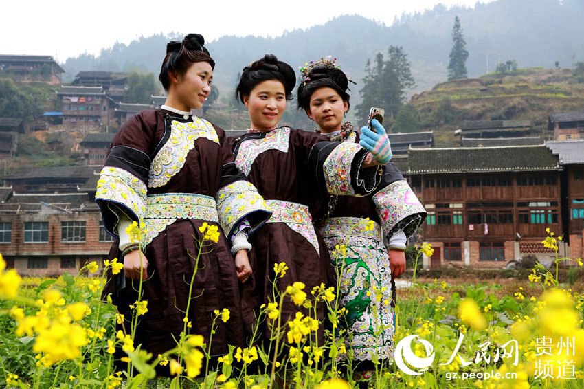 Spring flowers bloom in Guizhou