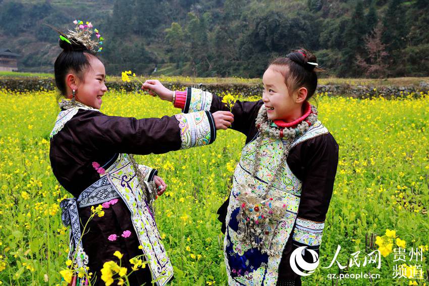 Spring flowers bloom in Guizhou