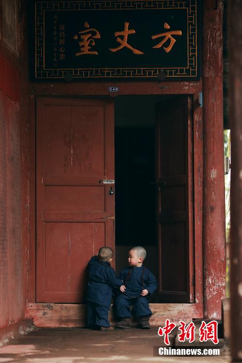 Adorable 'little monks' in Chongqing go viral online