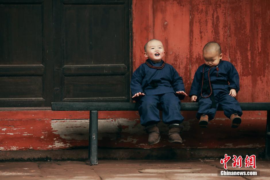 Adorable 'little monks' in Chongqing go viral online