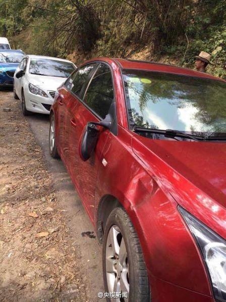 Wild elephant wanders onto Chinese tourist road, damages dozen cars