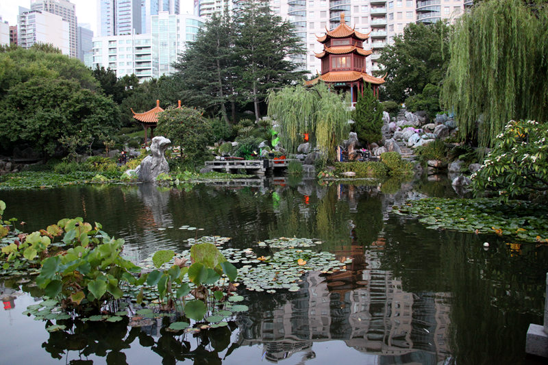 Eastern and Western Musicians Perform Together in Chinese Garden Sydney