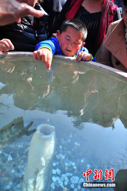 Citizens enjoy 400-year-old temple fair in Kunming
