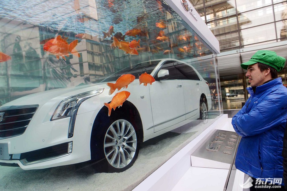 Luxury car in fish tank displayed in Shanghai