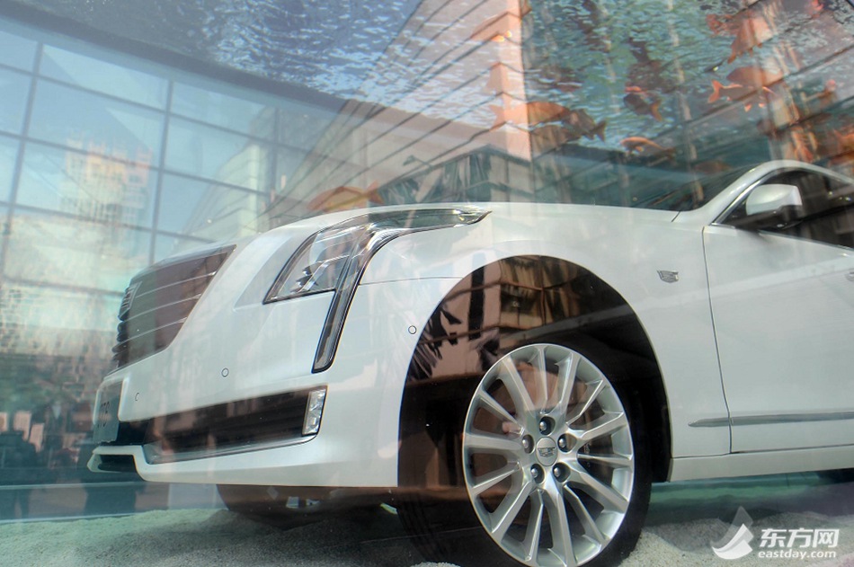 Luxury car in fish tank displayed in Shanghai