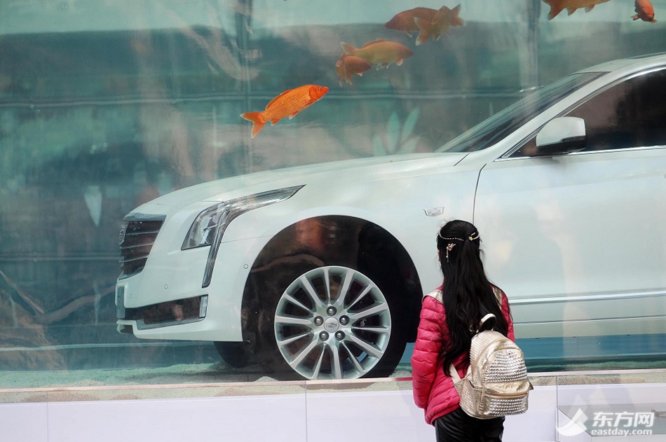 Luxury car in fish tank displayed in Shanghai