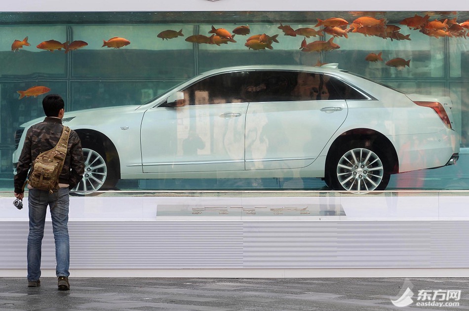 Luxury car in fish tank displayed in Shanghai