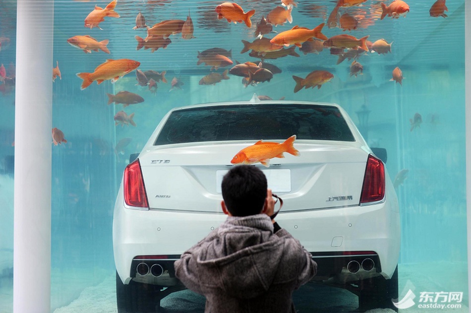 Luxury car in fish tank displayed in Shanghai