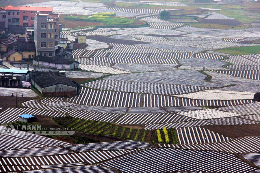 In pics: matrix of farmland in plowing, sowing season, SW China