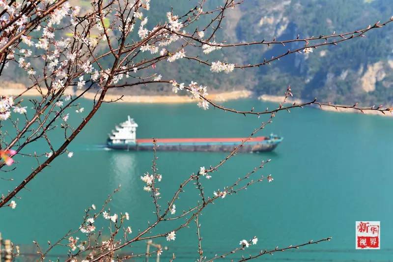 Flowers decorate early spring in S China