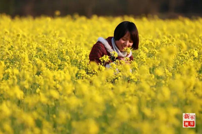 Flowers decorate early spring in S China