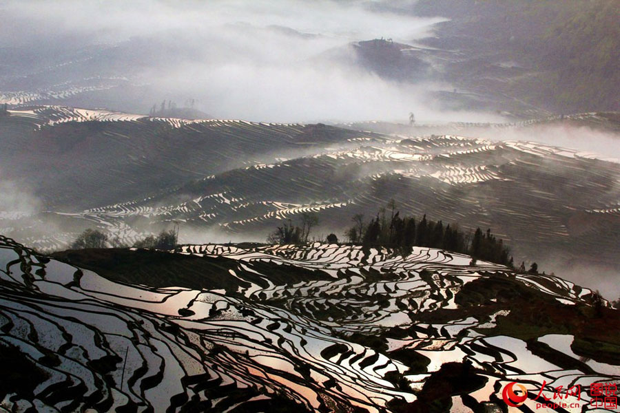 Breathtaking terrace scenery in Yunnan
