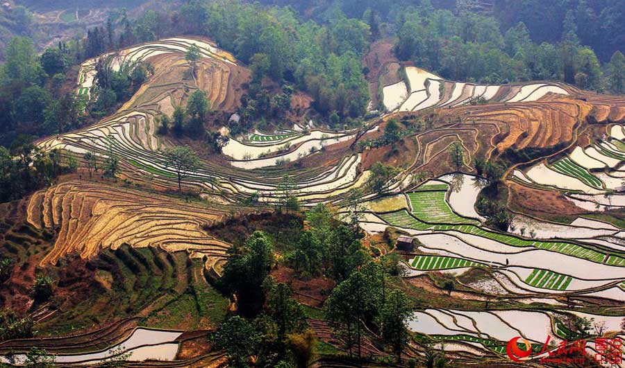 Breathtaking terrace scenery in Yunnan
