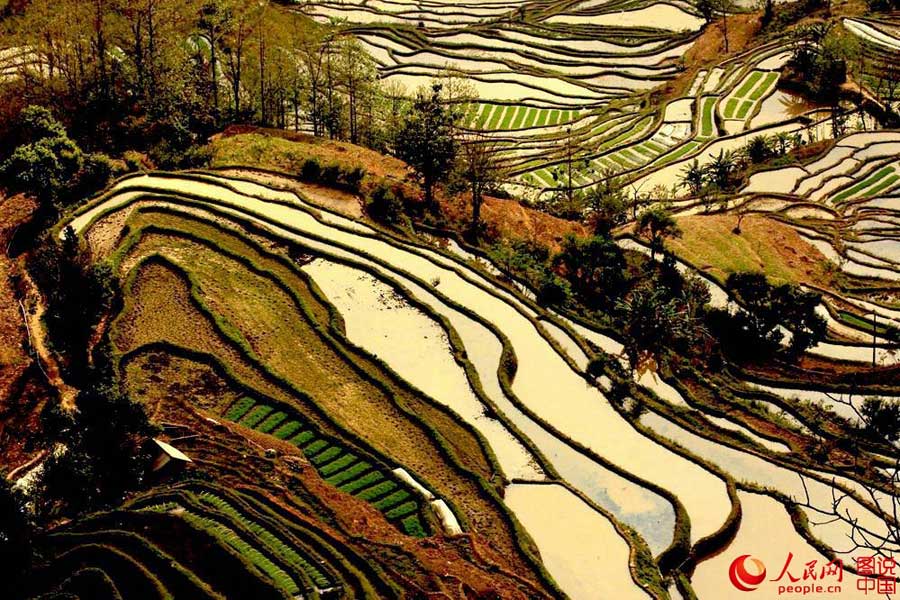 Breathtaking terrace scenery in Yunnan
