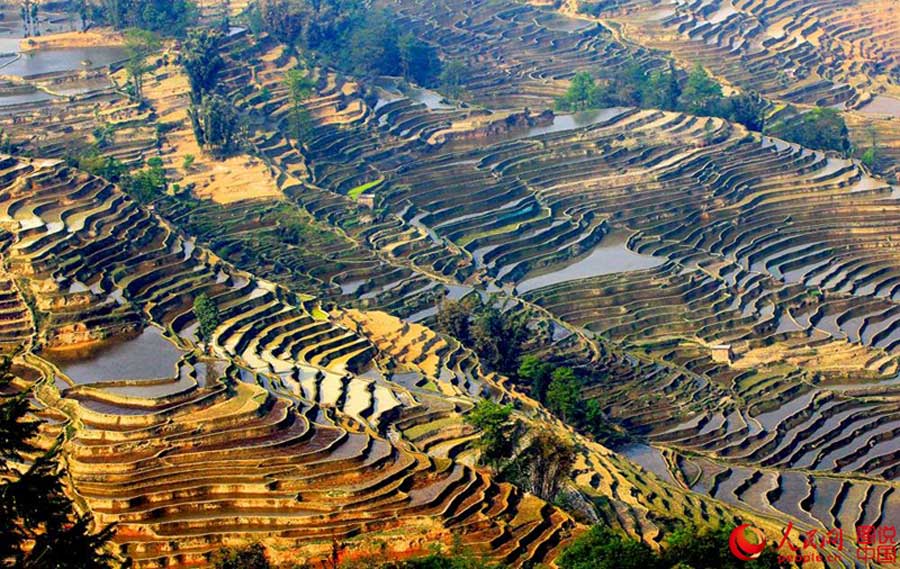 Breathtaking terrace scenery in Yunnan
