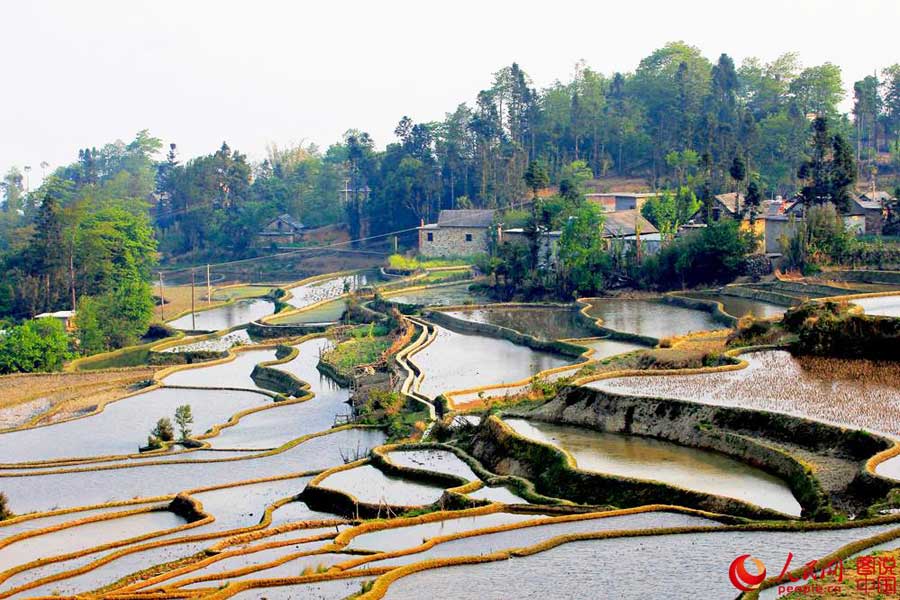 Breathtaking terrace scenery in Yunnan
