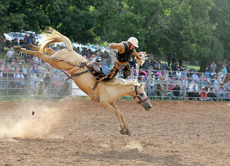 Australia’s very own Horse Sport - Taralga Rodeo and Campdraft