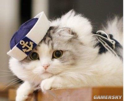 Cute cats cosplay Naruto 