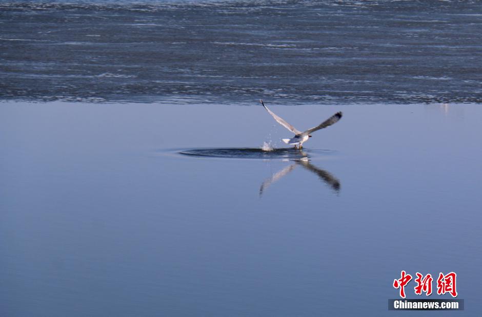 Ice melts in Asia's largest desert reservoir