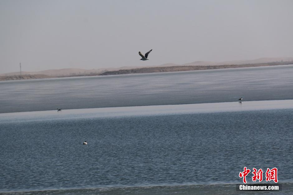 Ice melts in Asia's largest desert reservoir