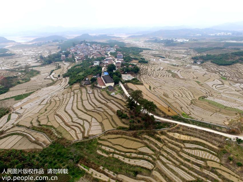 Magnificent aerial views of terrace fields in SW China