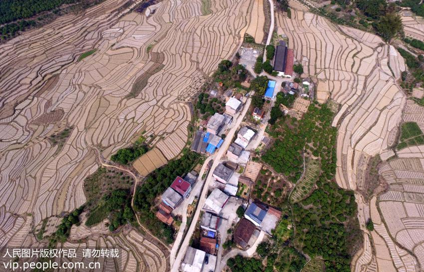 Magnificent aerial views of terrace fields in SW China