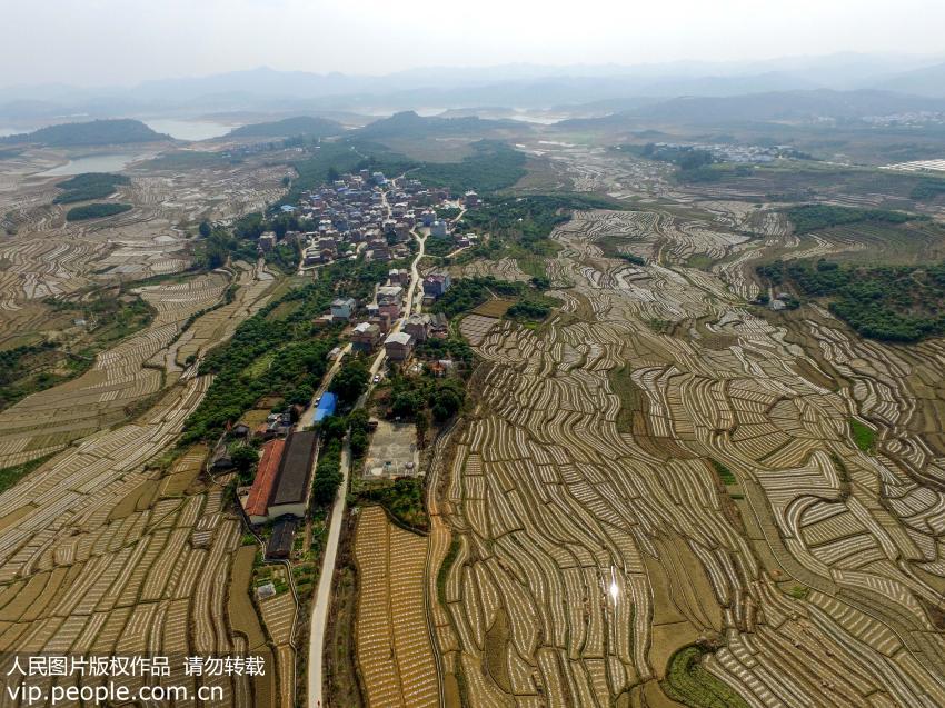 Magnificent aerial views of terrace fields in SW China