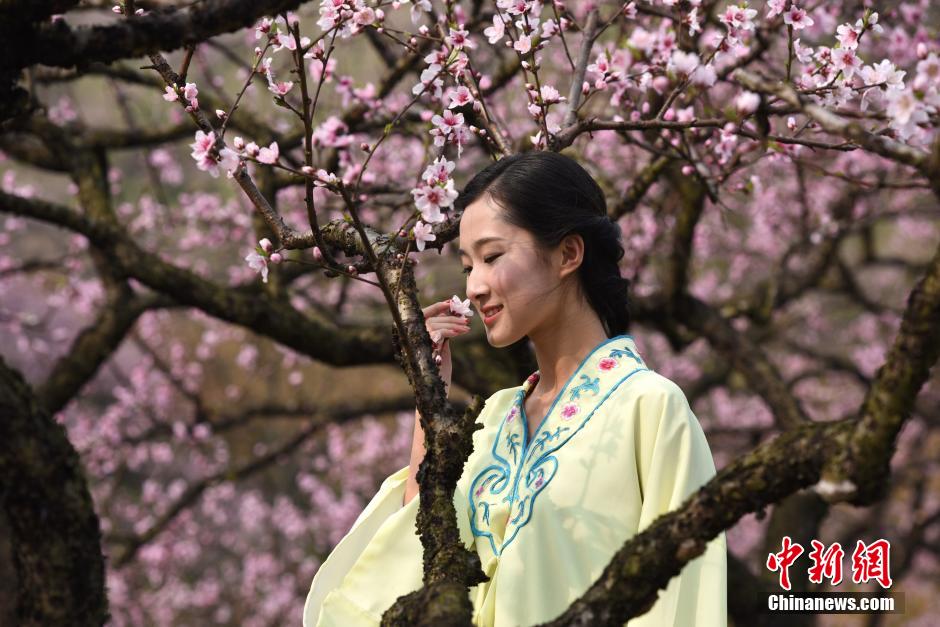 College girls in ancient costume promote peach blossom festival