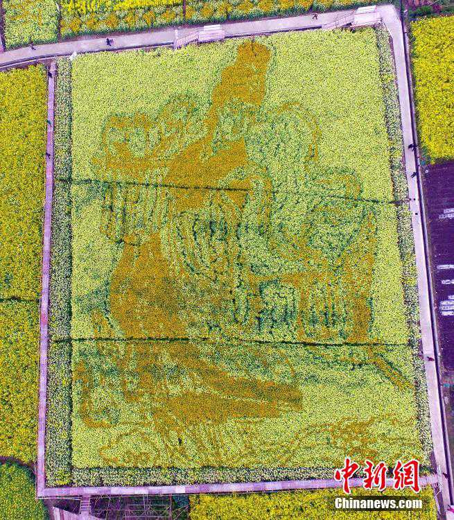 Creative patterns designed in rape flower fields in SW China