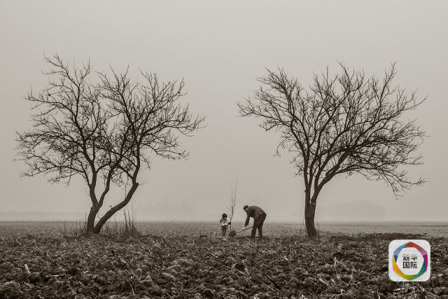 Chinese photographers win the HIPA