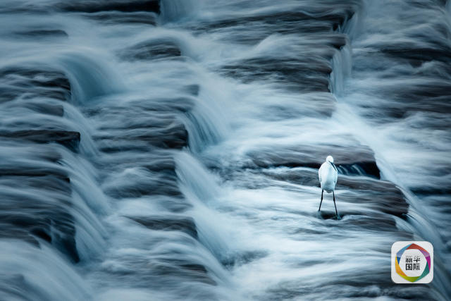 Chinese photographers win the HIPA