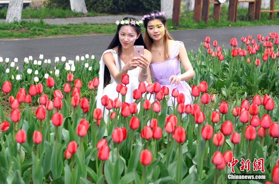 Pretty girls take selfies with flowers in full bloom