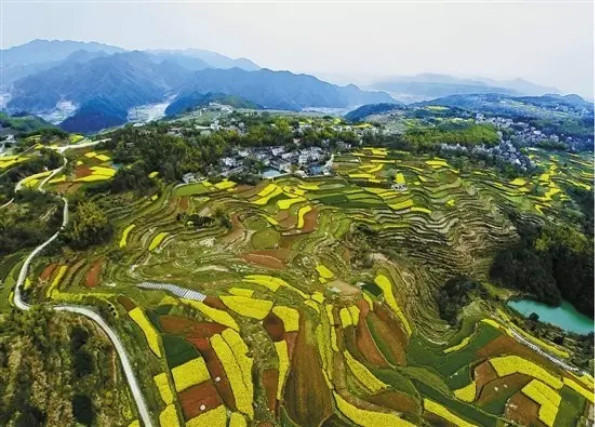 The most beautiful forest trails in East China's Zhejiang