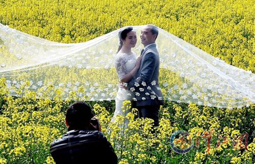 Romance in rape flowers