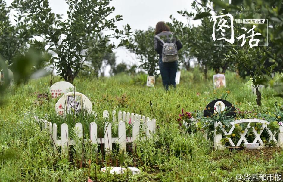 Price for pet tombs flies high in Chengdu