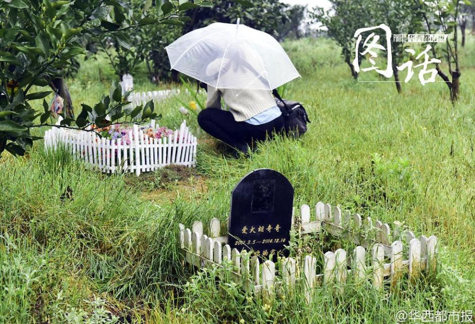 Price for pet tombs flies high in Chengdu