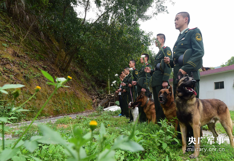 Soldiers pay tribute to hero police dog