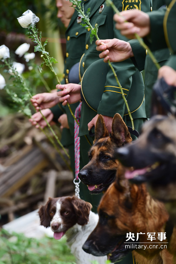 Soldiers pay tribute to hero police dog