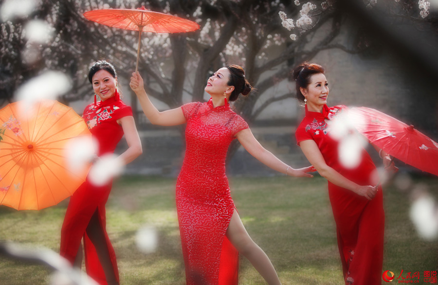 Cheongsam beauties grace Chang's Manor