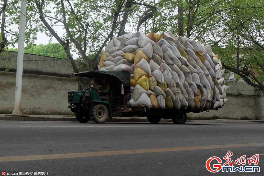 This might be a 'new record' for overloaded vehicles