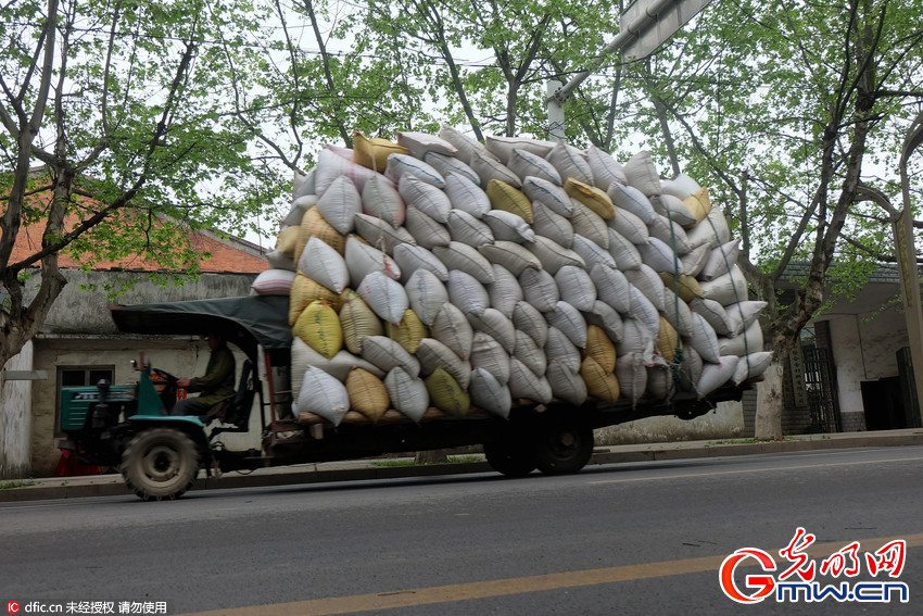 This might be a 'new record' for overloaded vehicles