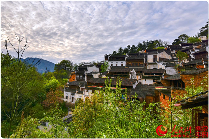 Scenery of rape blossoms in terraced fields in Jiangxi
