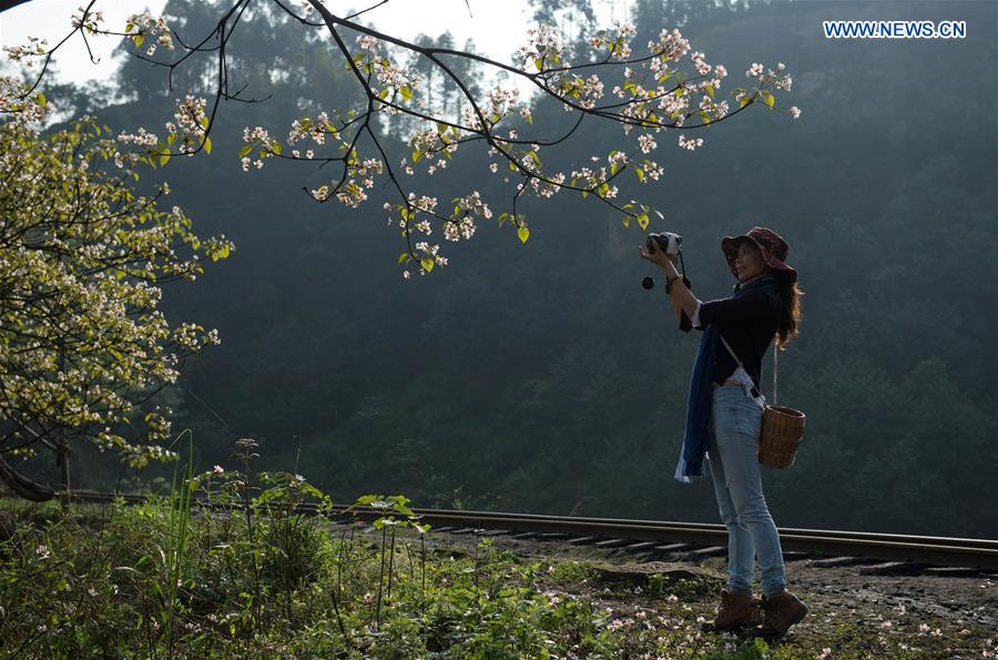 Steam train in SW China keeps operation, boosts tourism 