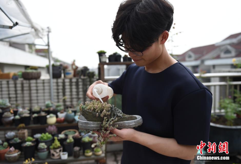 College student plants succulent in creative flower pots