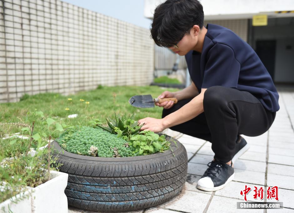 College student plants succulent in creative flower pots