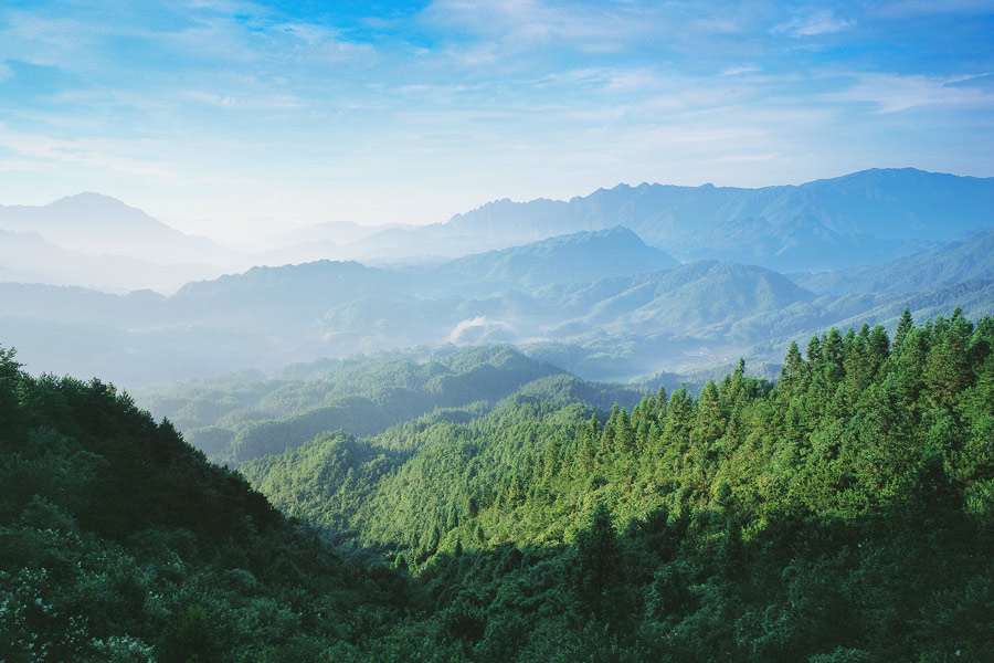 Millions visit charming forested area in East China